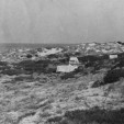 The camp on Bernier Island, Shark Bay, WA  1910