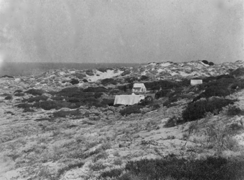 The camp on Bernier Island, Shark Bay, WA  1910