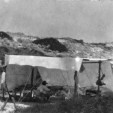 A.R. Brown at work
