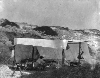 A.R. Brown at work